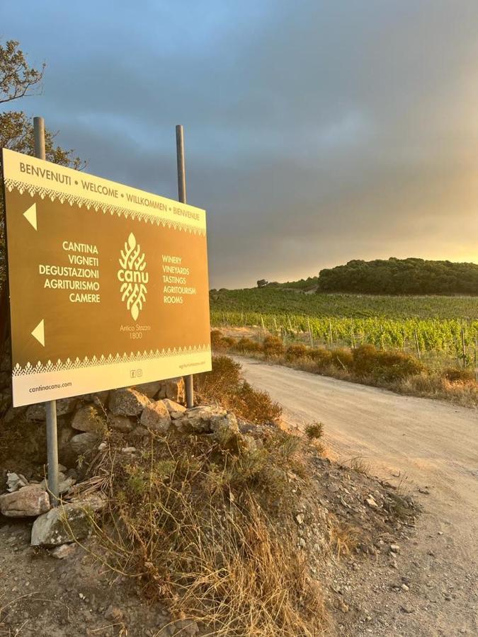 فيلا Cantina&Agriturismo Canu Luogosanto المظهر الخارجي الصورة