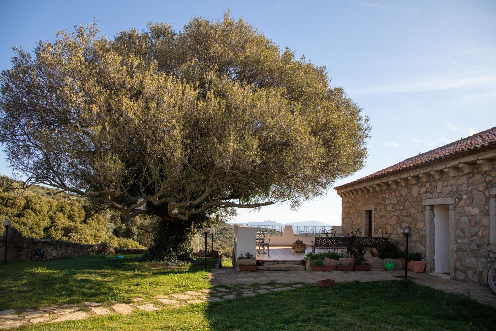 فيلا Cantina&Agriturismo Canu Luogosanto المظهر الخارجي الصورة